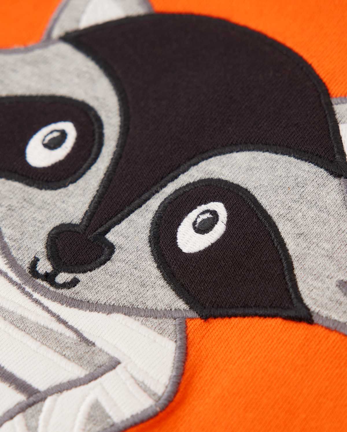 Детские топы Gymboree Boys Embroidered Raccoon Mummy Top - Trick or Treat