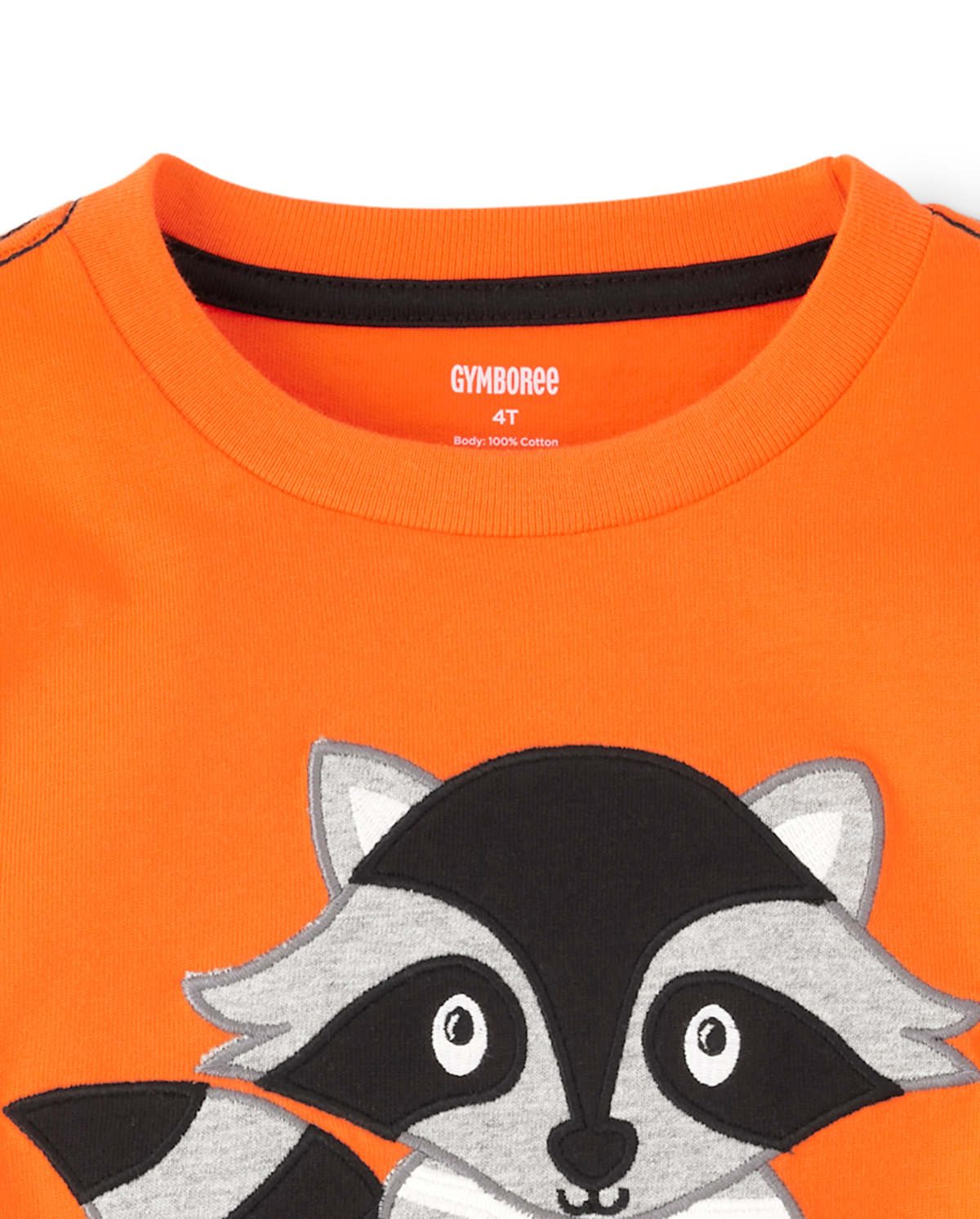 Детские топы Gymboree Boys Embroidered Raccoon Mummy Top - Trick or Treat — фото 2