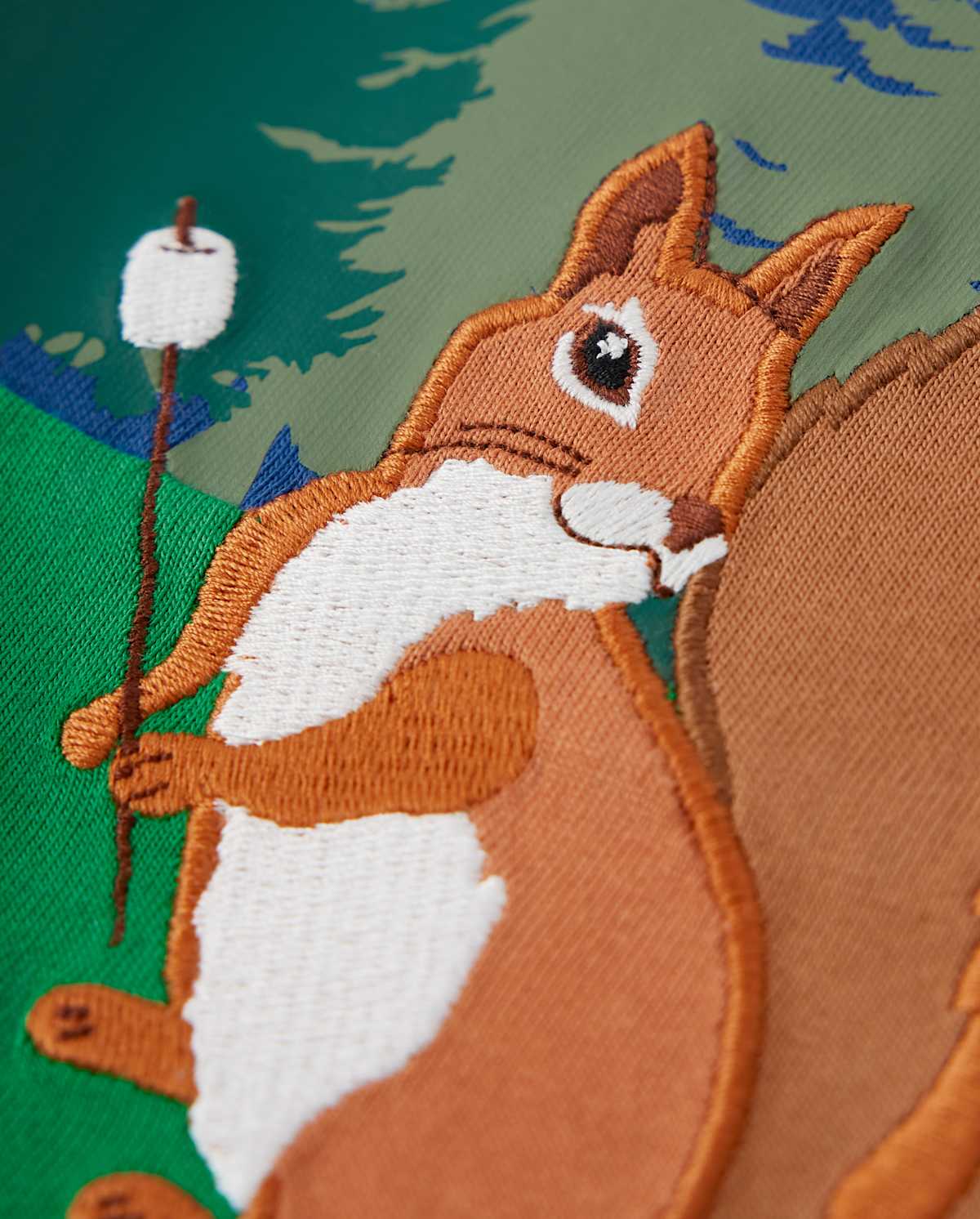 Детские топы Gymboree Boys Embroidered Squirrel Top - S'more Fun