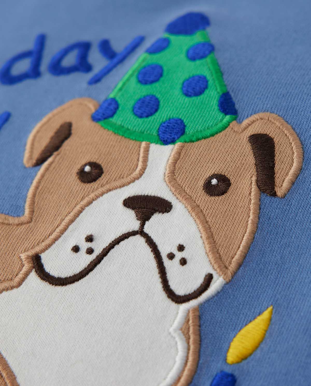 Детские топы Gymboree Boys Embroidered Birthday Top - Birthday Boutique
