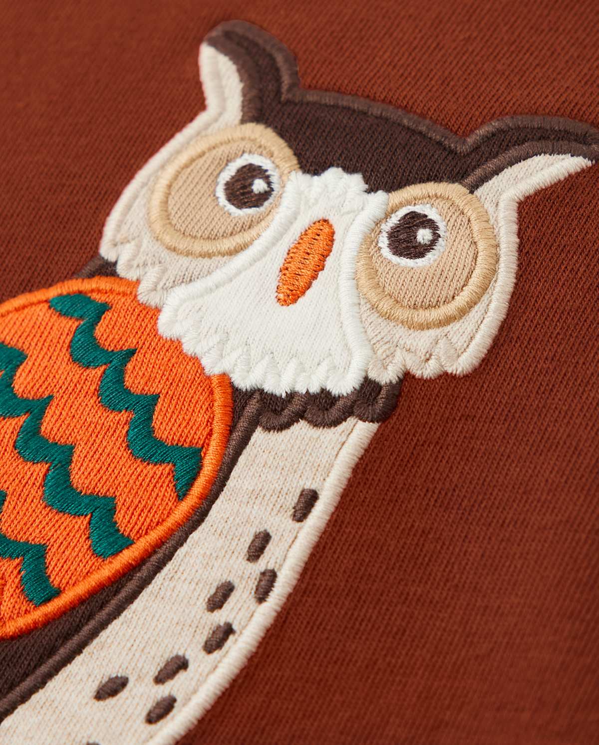Детские топы Gymboree Boys Embroidered Owl Raglan Top - Autumn Harvest