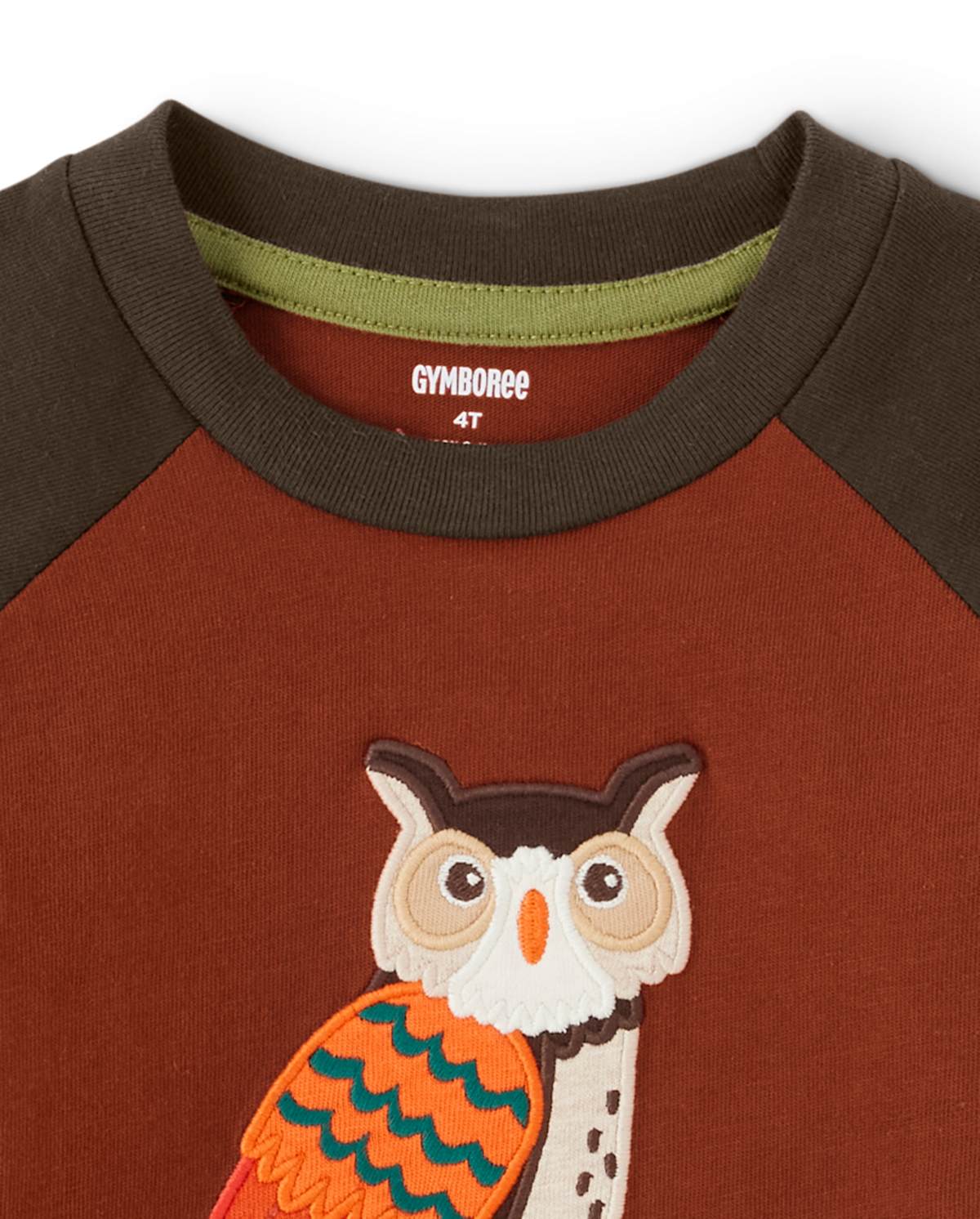 Детские топы Gymboree Boys Embroidered Owl Raglan Top - Autumn Harvest — фото 2