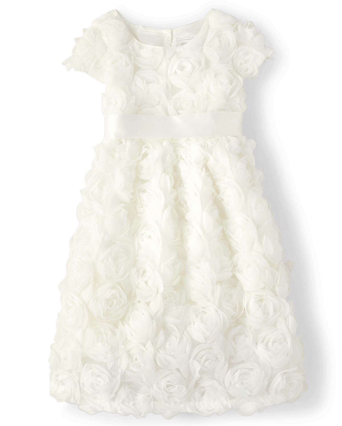 Gymboree Girls Rosette Dress - All Dressed Up