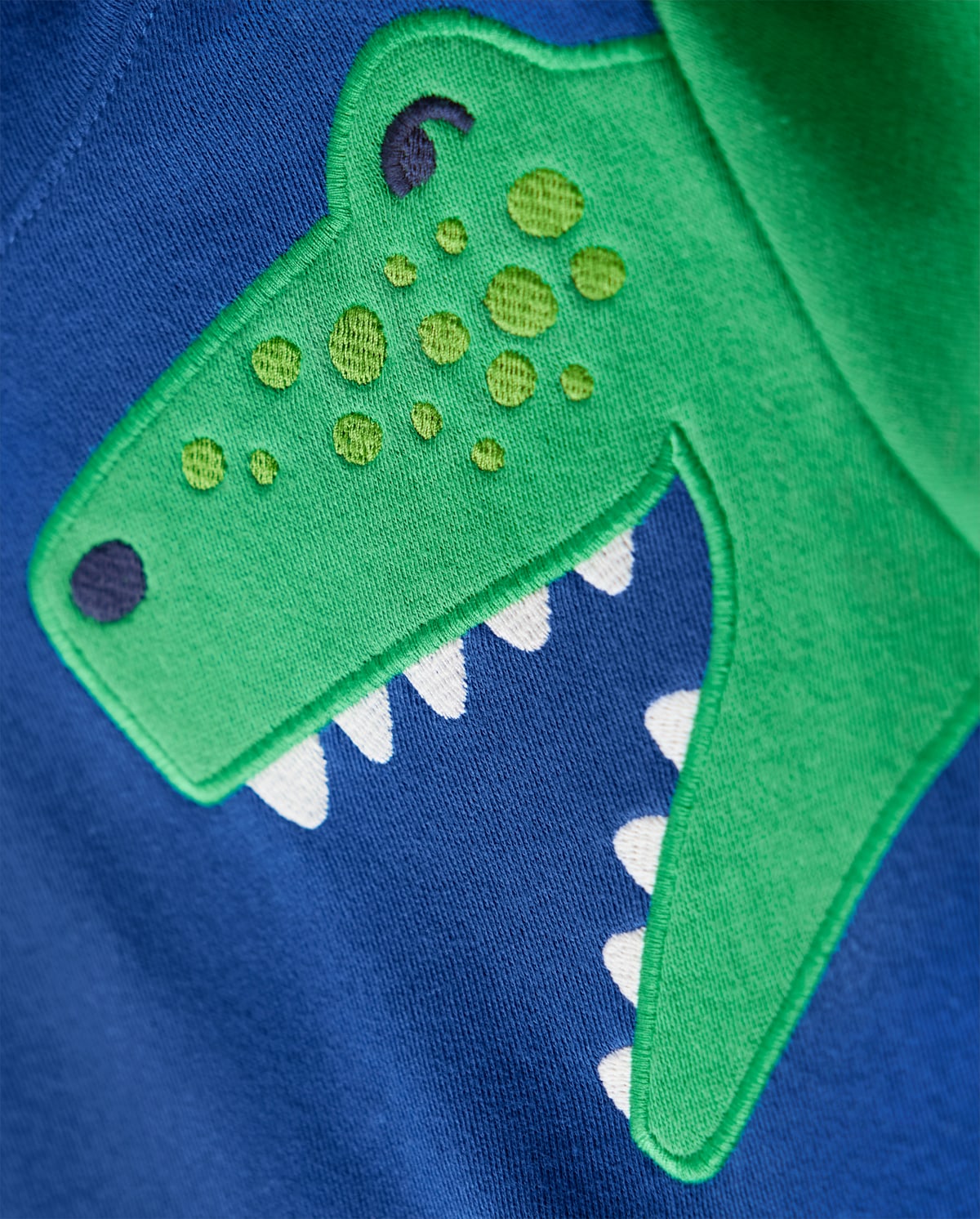 Детские худи Gymboree Boys Embroidered Dino - Dino-Mite — фото 4