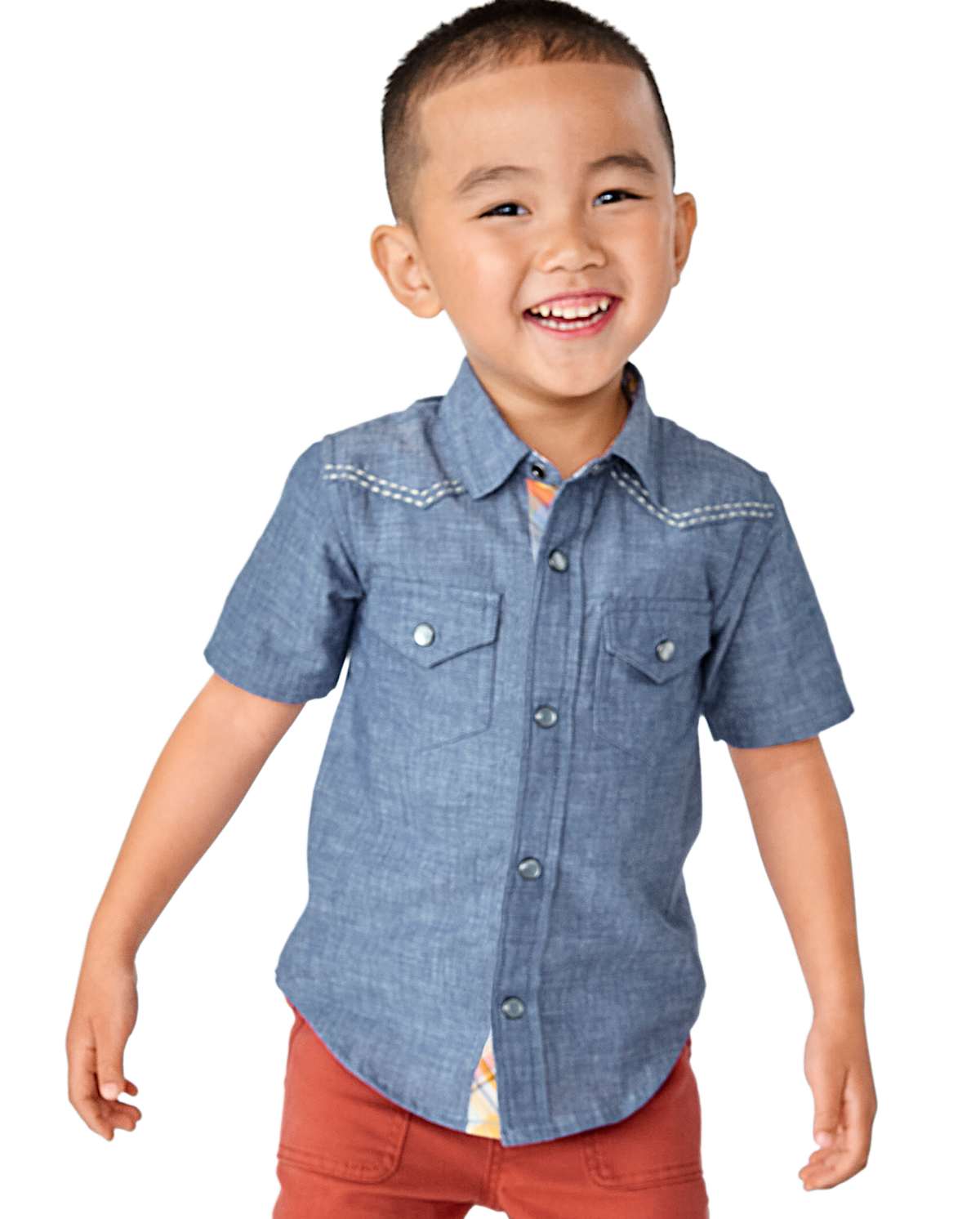 Детские рубашки Gymboree Boys Embroidered Horse Chambray Snap Front Shirt - Country Trail — фото 3