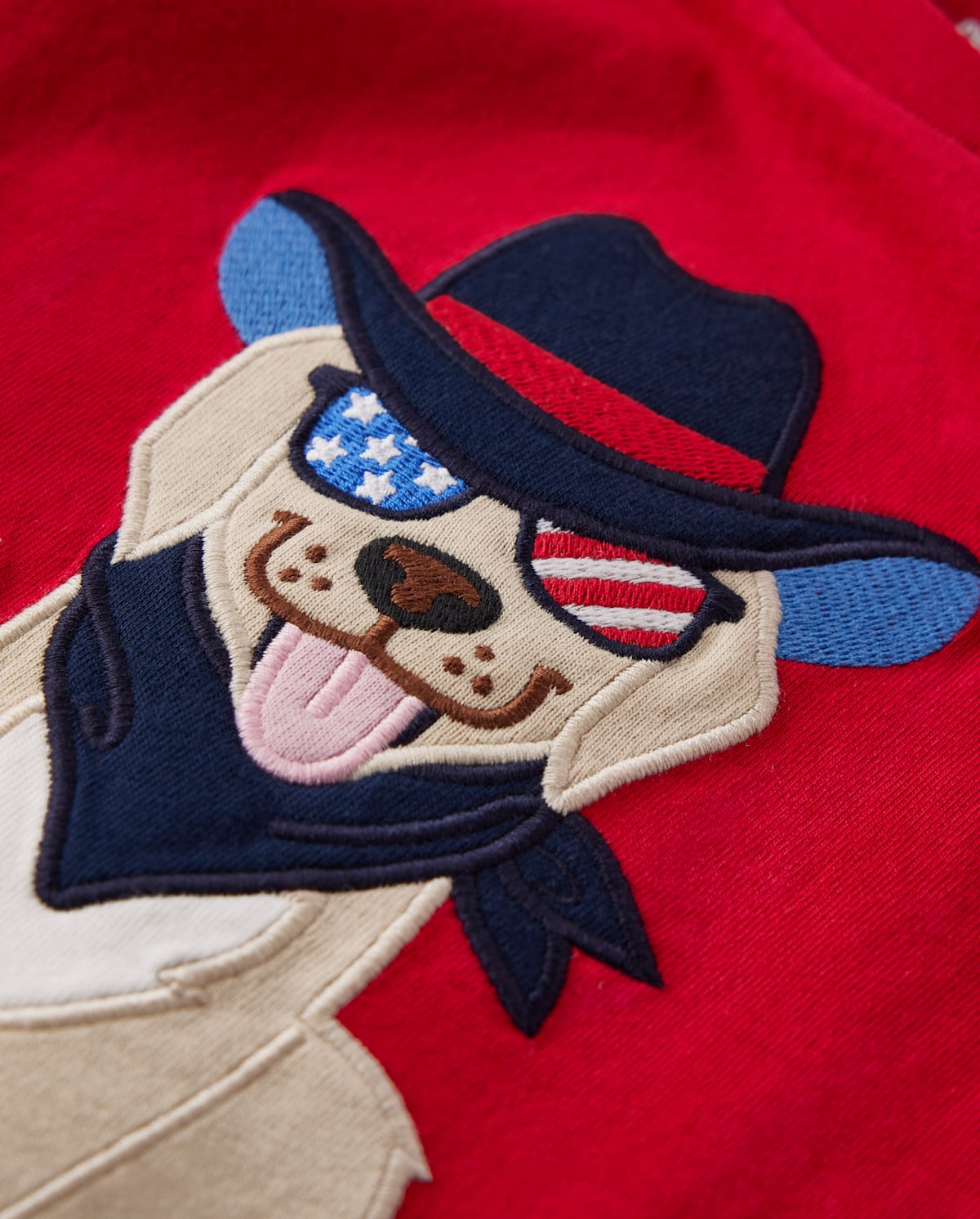 Детские топы Gymboree Boys Embroidered Dog Top - American Cutie