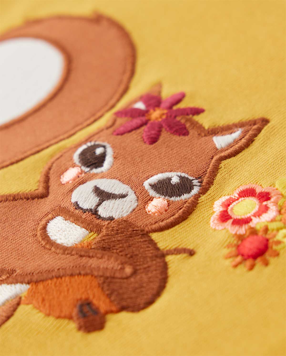 Детские топы Gymboree Girls Embroidered Squirrel Top - Happy Harvest
