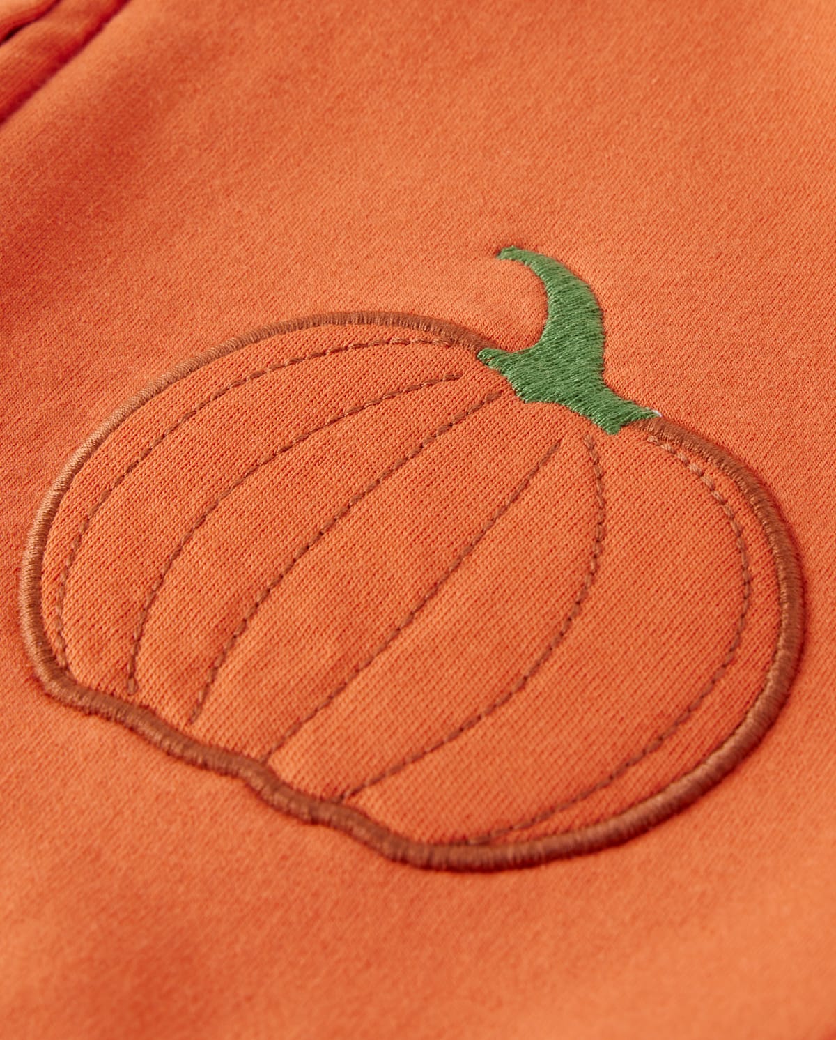Детские худи Gymboree Girls Applique Pumpkin Fleece Zip-Up - Lil' Pumpkin