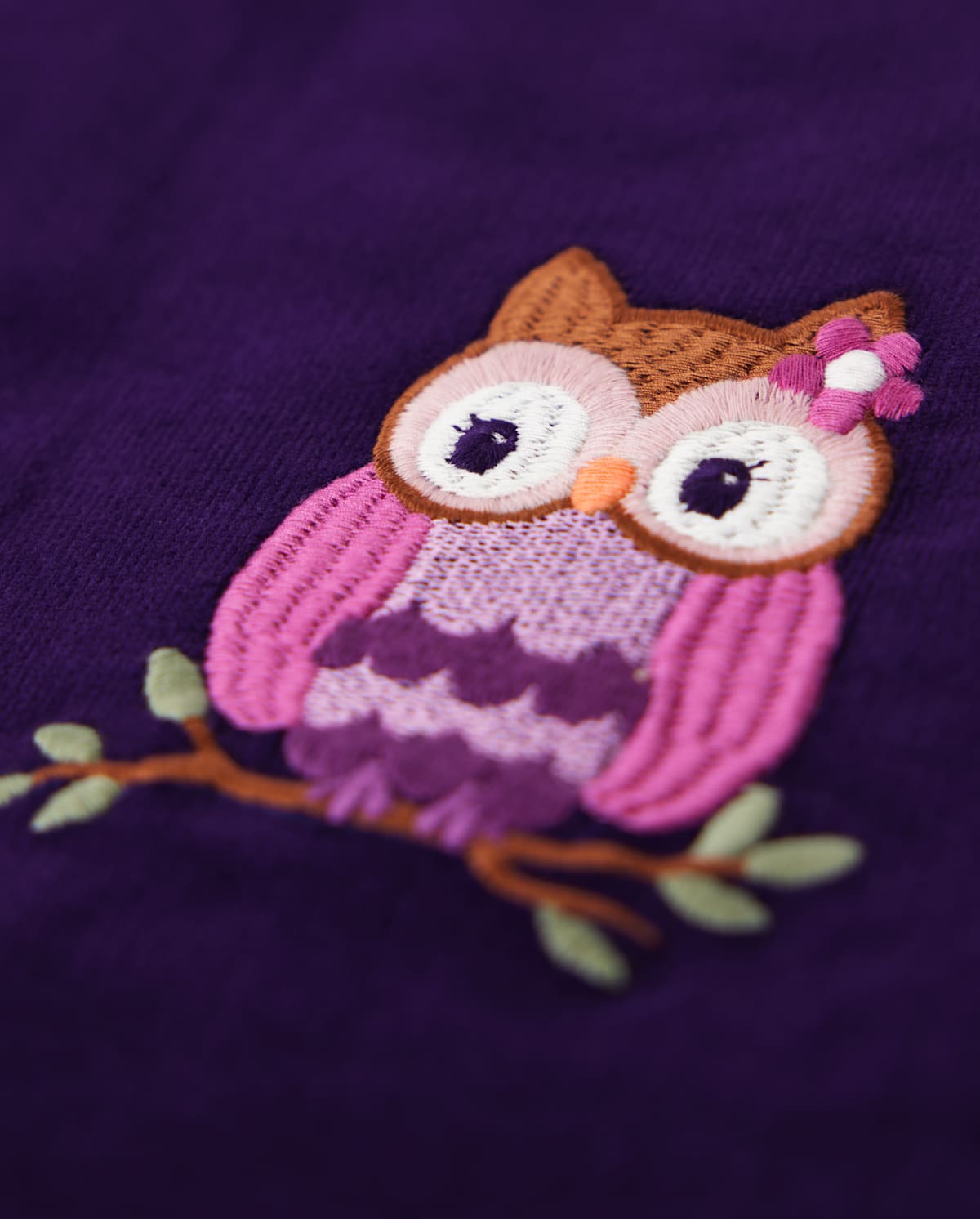 Детские юбки Gymboree Girls Applique Owl Corduroy Skirtall - Magical Meadow — фото 2