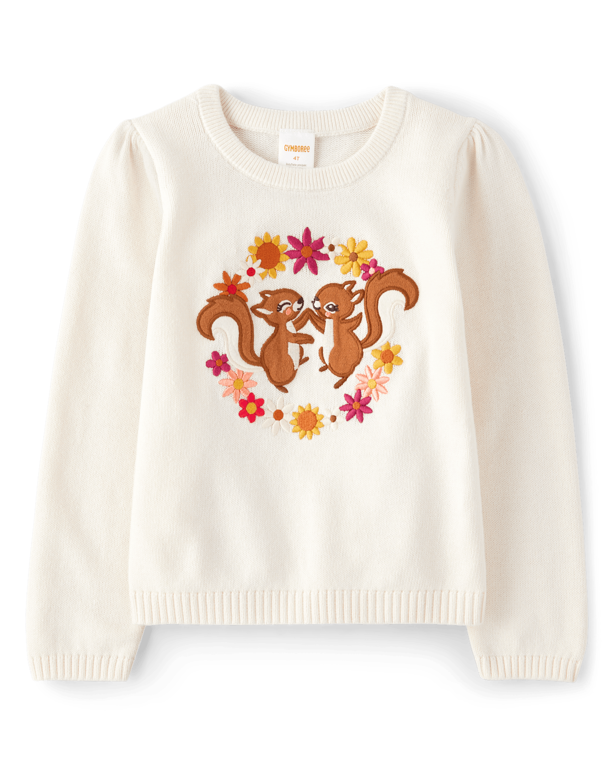 Детские свитеры Gymboree Girls Embroidered Squirrel Sweater - Happy Harvest