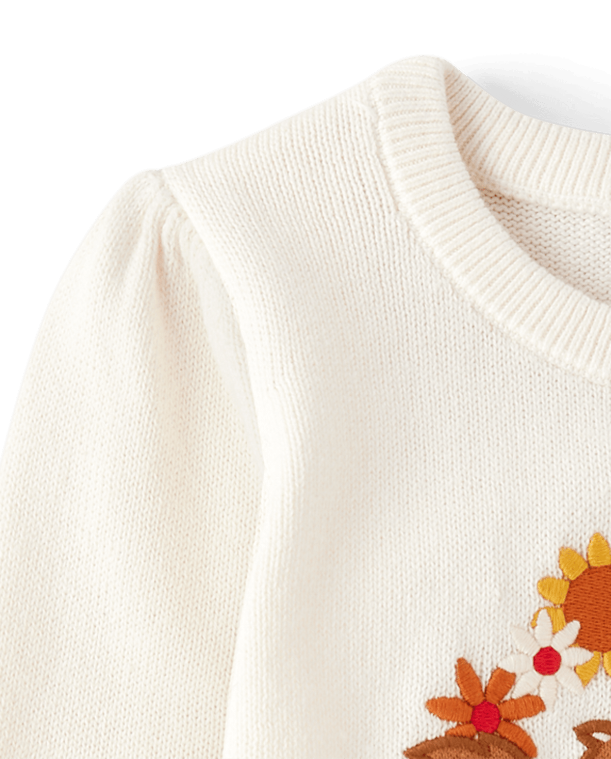 Детские свитеры Gymboree Girls Embroidered Squirrel Sweater - Happy Harvest — фото 3