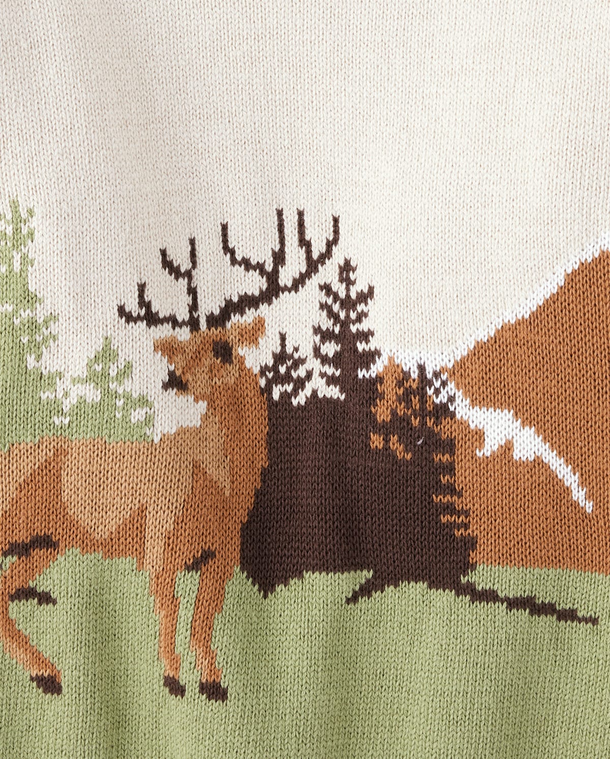Детские свитеры Gymboree Boys Intarsia Deer Sweater - Enchanted Forest