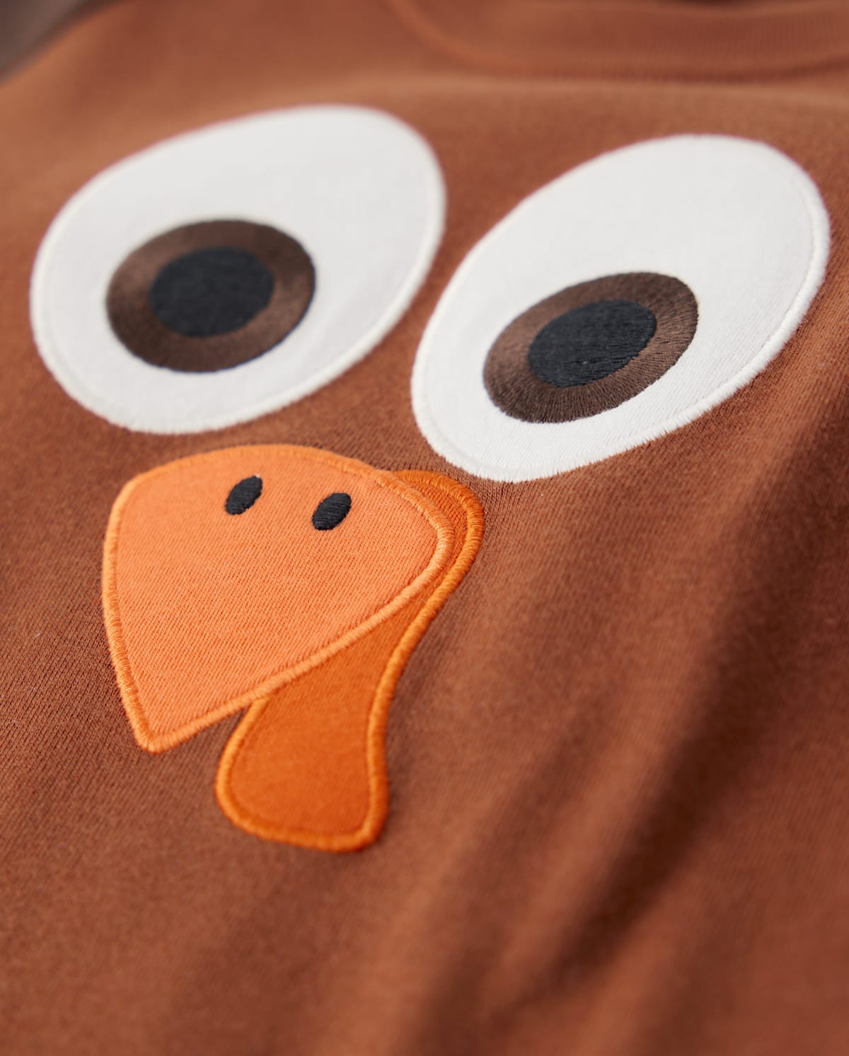 Детские пижамы Gymboree Kids Embroidered Turkey Snug Fit Cotton Pajamas