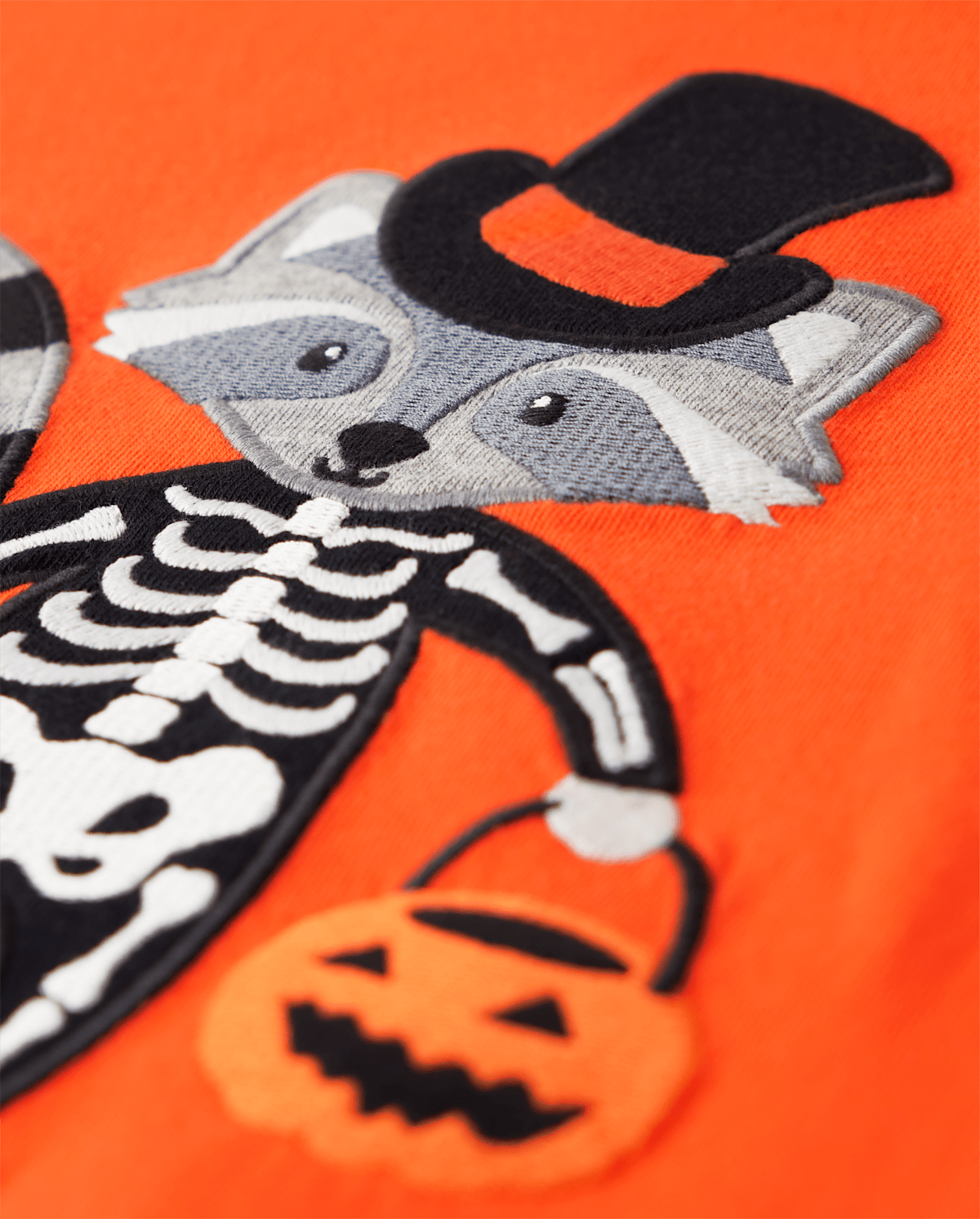 Детские топы Gymboree Boys Embroidered Raccoon Raglan Top - Trick or Treat