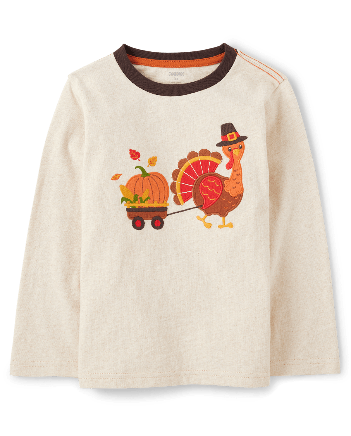 Детские топы Gymboree Boys Embroidered Turkey Top - Happy Harvest