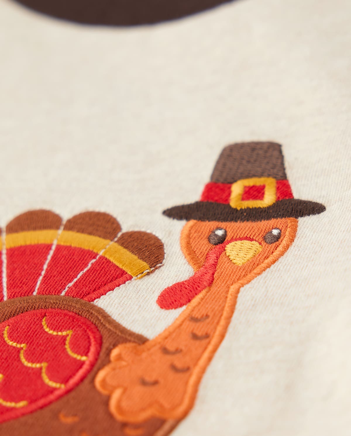 Детские топы Gymboree Boys Embroidered Turkey Top - Happy Harvest — фото 2
