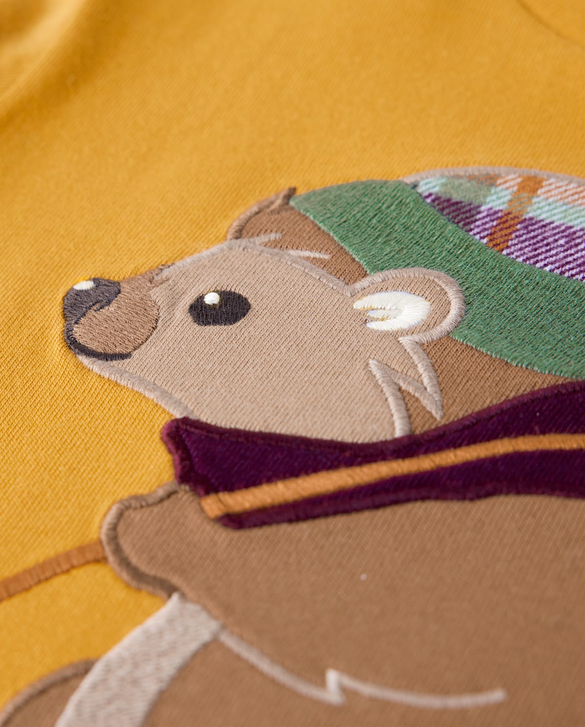 Детские топы Gymboree Boys Embroidered Hedgehog Layered Top - Enchanted Forest