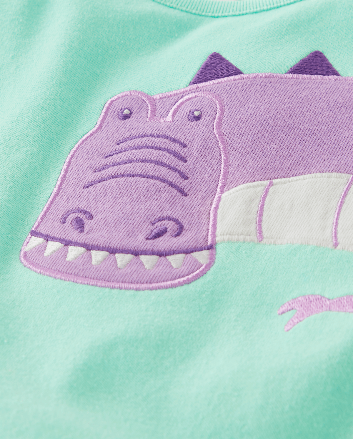 Детские топы Gymboree Girls Embroidered Dino Top - Dino Friends