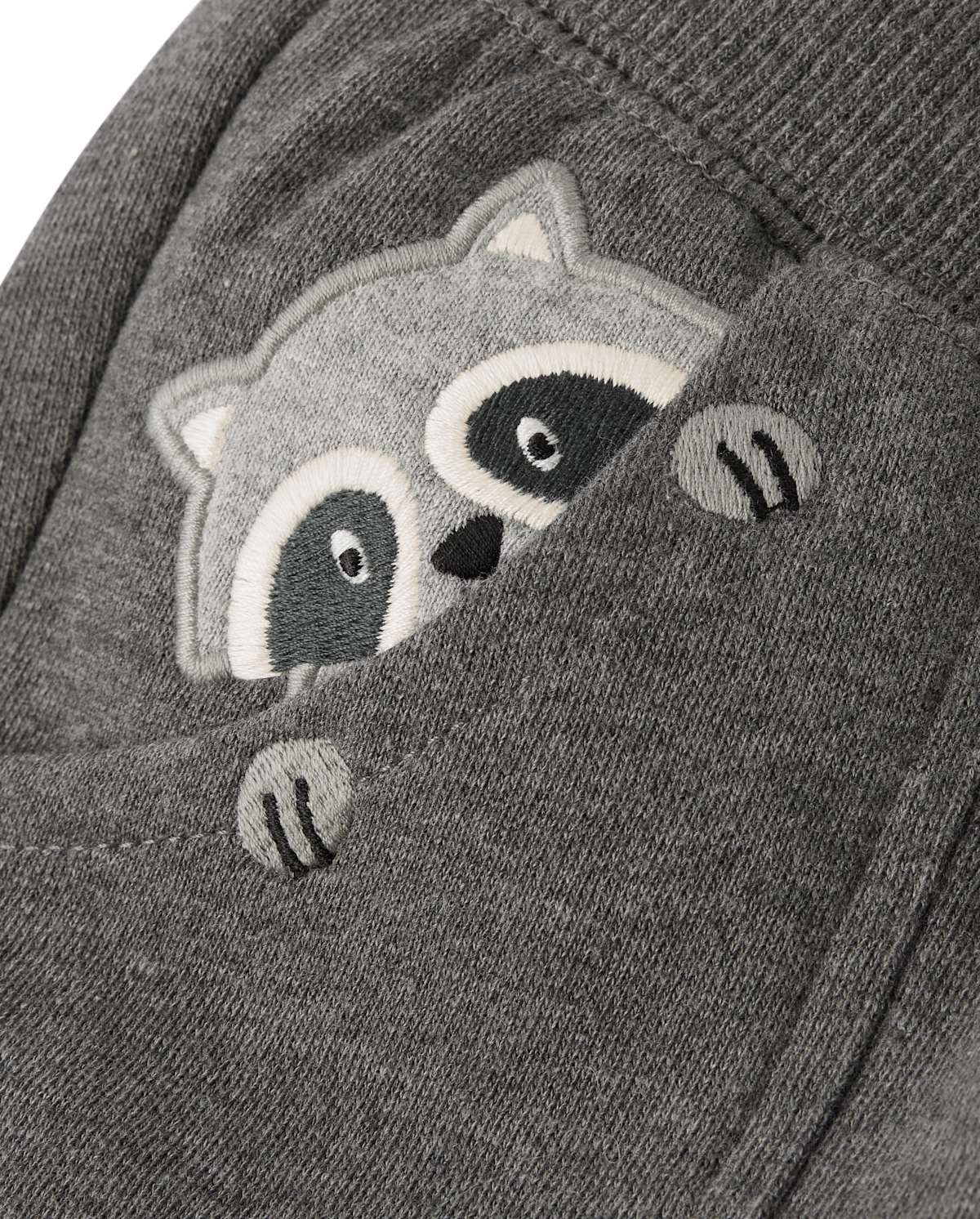 Детские брюки Gymboree Boys Embroidered Raccoon Fleece Jogger Pants - Country Charm