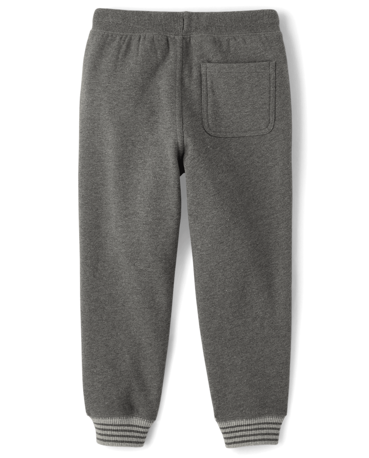 Детские брюки Gymboree Boys Embroidered Raccoon Fleece Jogger Pants - Country Charm — фото 2