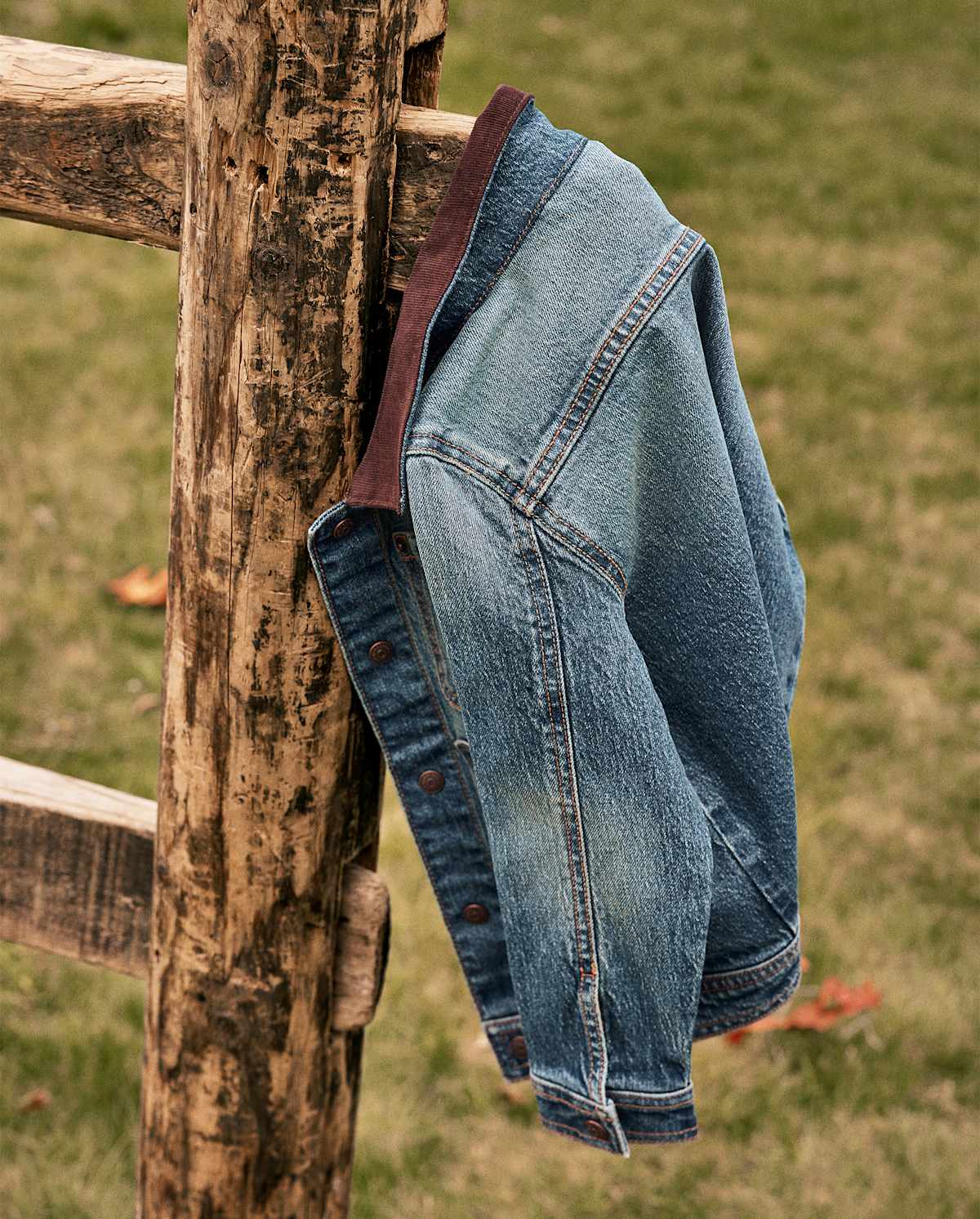 Детские куртки Gymboree Kids Denim Jacket - Little Essentials — фото 4