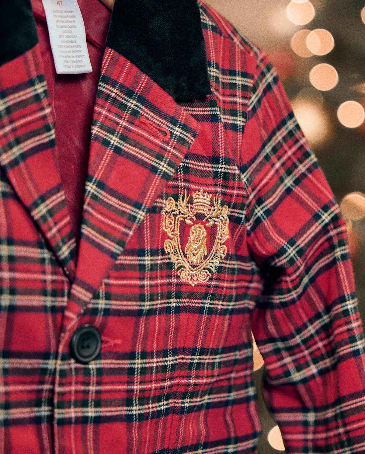 Детские пиджаки Gymboree Boys Plaid Blazer - Royal Christmas
