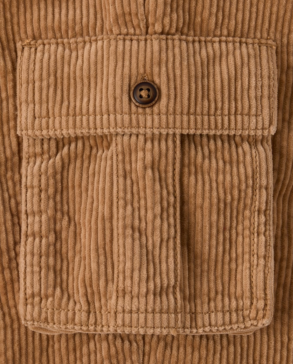 Детские брюки Gymboree Kids Corduroy Pull On Relaxed Cargo Pants - Royal Christmas — фото 2