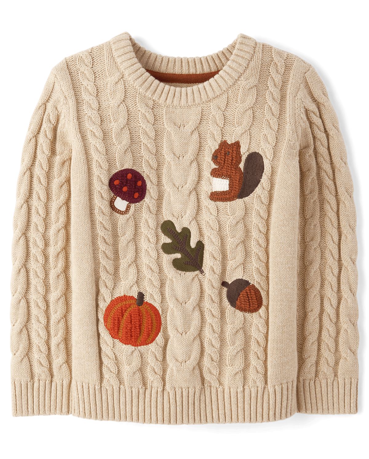Детские свитеры Gymboree Boys Crochet Icon Cable Knit Sweater - The Harvest Edit