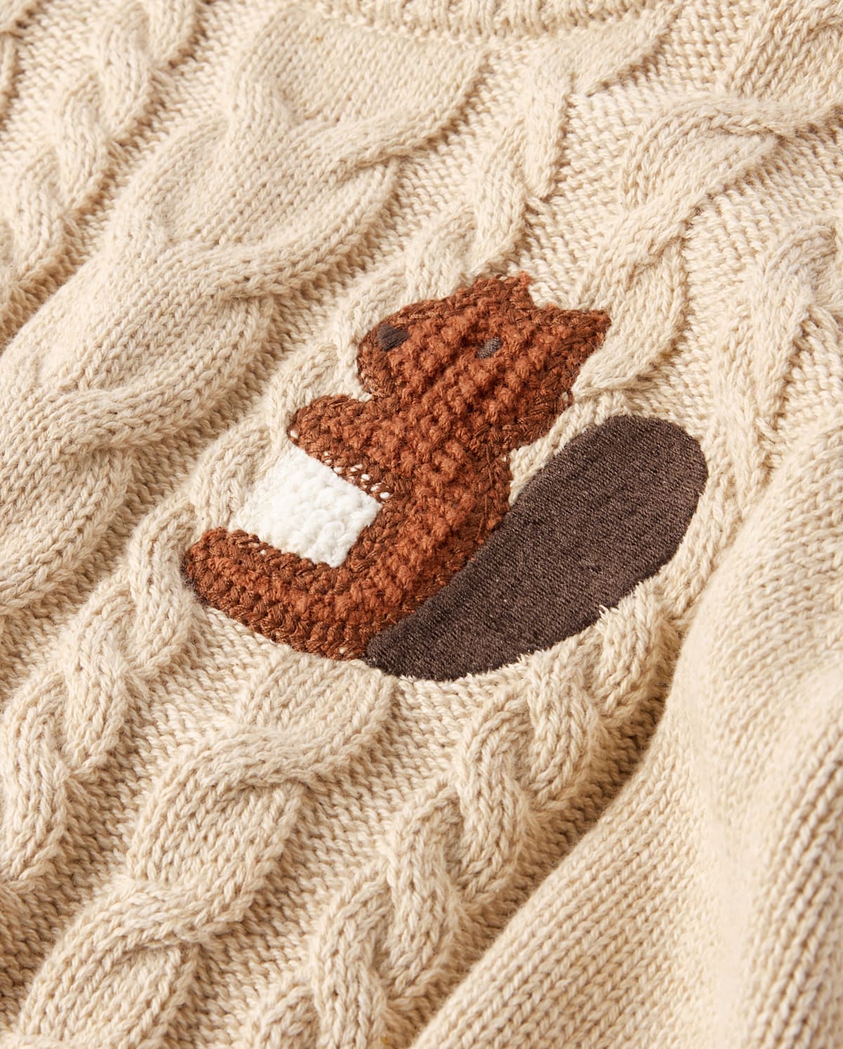 Детские свитеры Gymboree Boys Crochet Icon Cable Knit Sweater - The Harvest Edit — фото 2