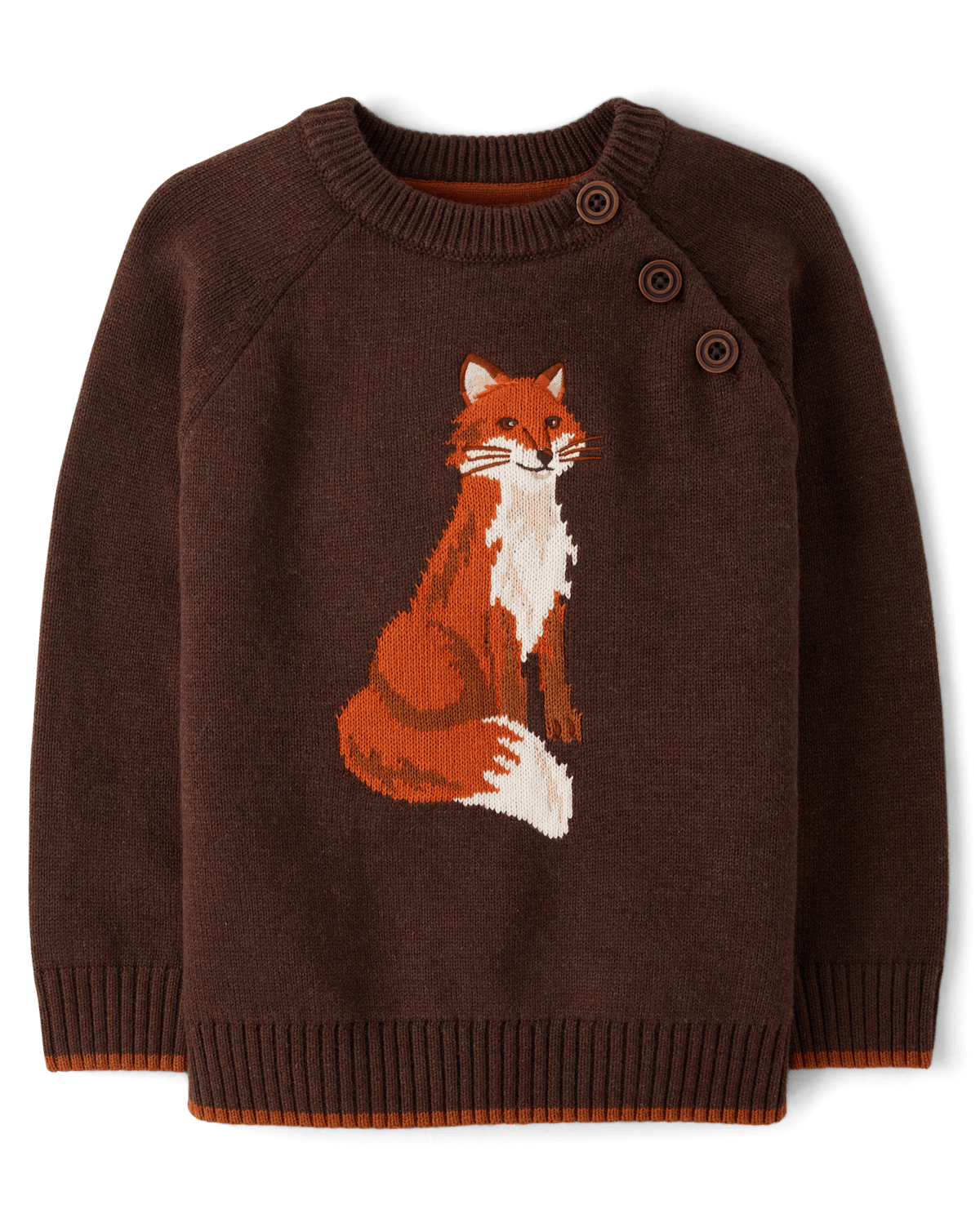 Детские свитеры Gymboree Boys Intarsia Fox Sweater - The Harvest Edit
