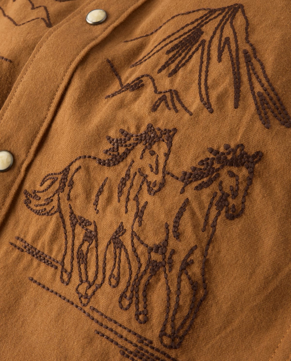 Детские рубашки Gymboree Boys Embroidered Horse Flannel Snap Front Shirt - Blue Sky Mountain — фото 2