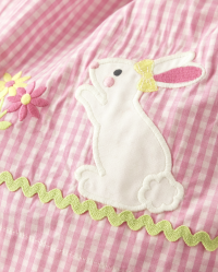 Girls Sleeveless Gingham Embroidered Bunny Woven Dress Spring Celebrations PINK RIBBON Gymboree CA