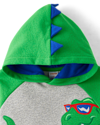 Boys Long Sleeve Embroidered Dino Fleece Hoodie - Birthday