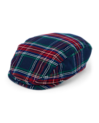 3049004_IV.png