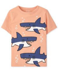 Toddler Boy Graphic Tees | The Childrens Place