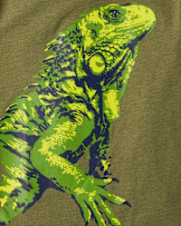 View of Boys Short Sleeve Iguana Graphic Tee - GREEN | The Children's Place