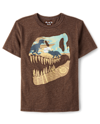 Boys Short Sleeve Dino Skull Graphic Tee - BROWN | The