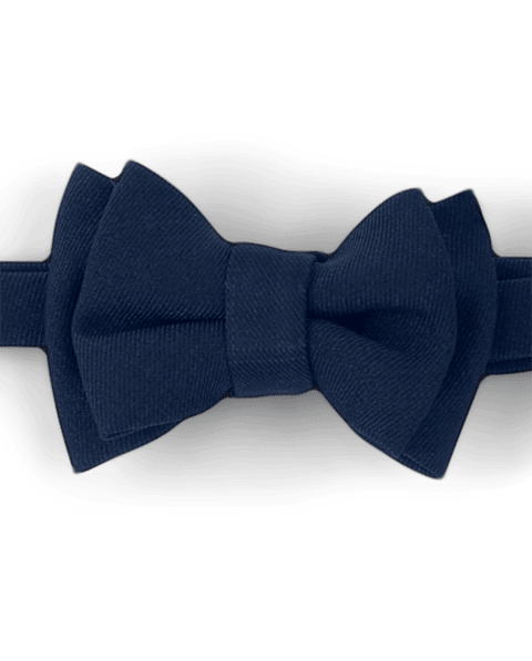 Аксессуары Gymboree Bow Tie And Suspenders Set - Special Occasions для мальчиков, цвет: Синий