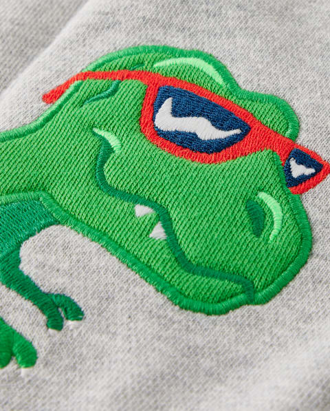 Брюки Gymboree Embroidered Dino Fleece Jogger - Birthday Boutique для мальчиков, цвет: Серый