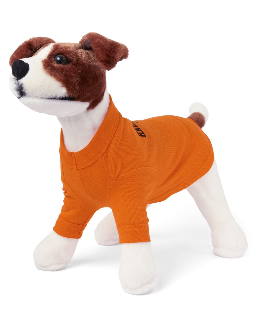 

s Dog Matching Family Halloween 2020 Graphic Tee - Orange T-Shirt - The Children's Place