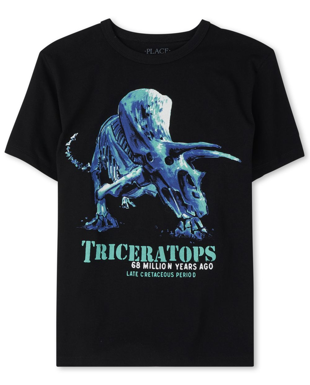 

s Boys Triceratops Graphic Tee - Black T-Shirt - The Children's Place