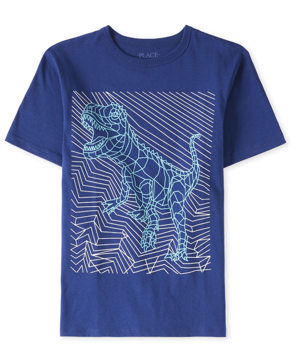 

Boys Boys Dino Graphic Tee - Blue T-Shirt - The Children's Place