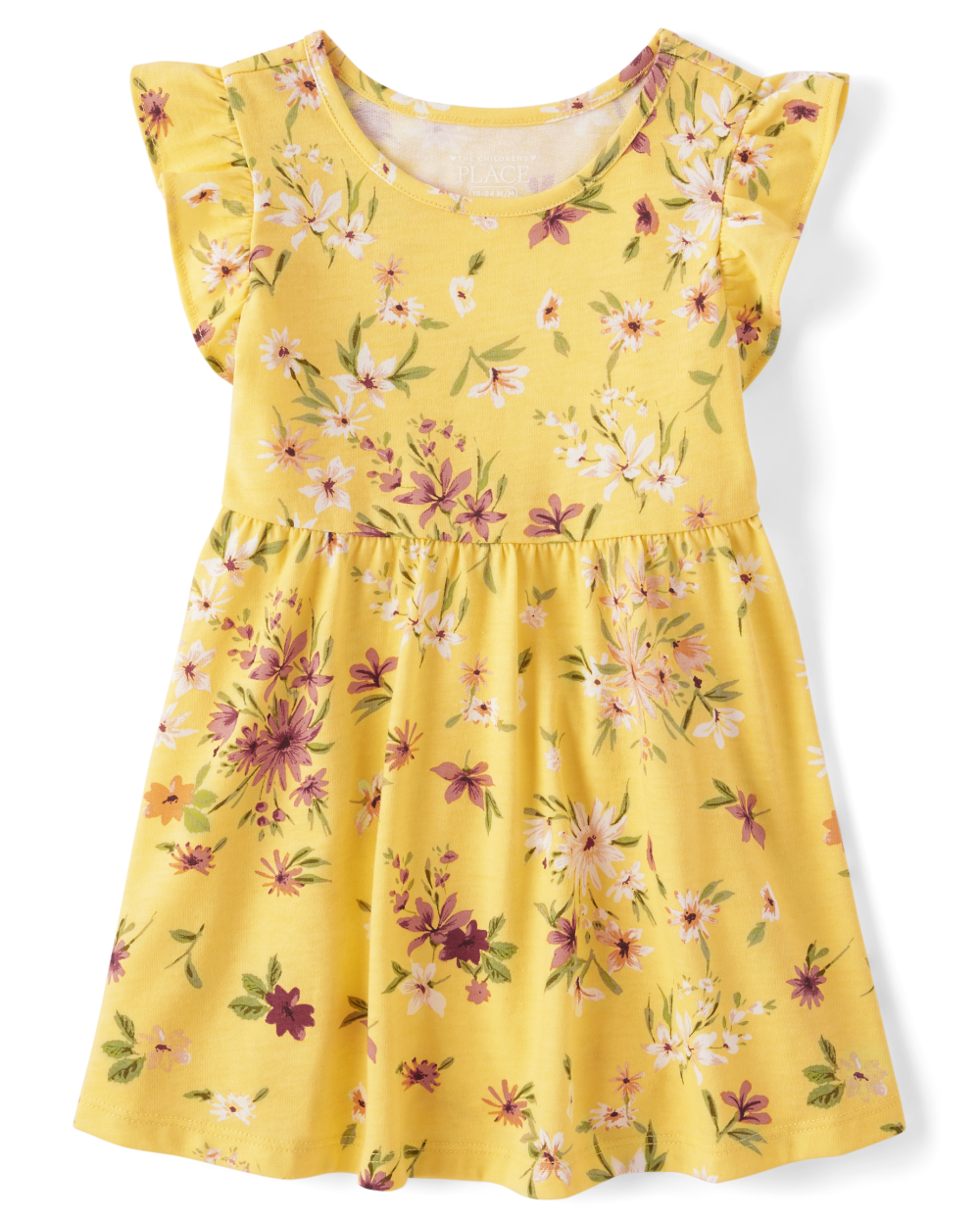 Toddler Baby Floral Print Above the Knee Flutter Sleeves Sleeveless Crew Neck Dress