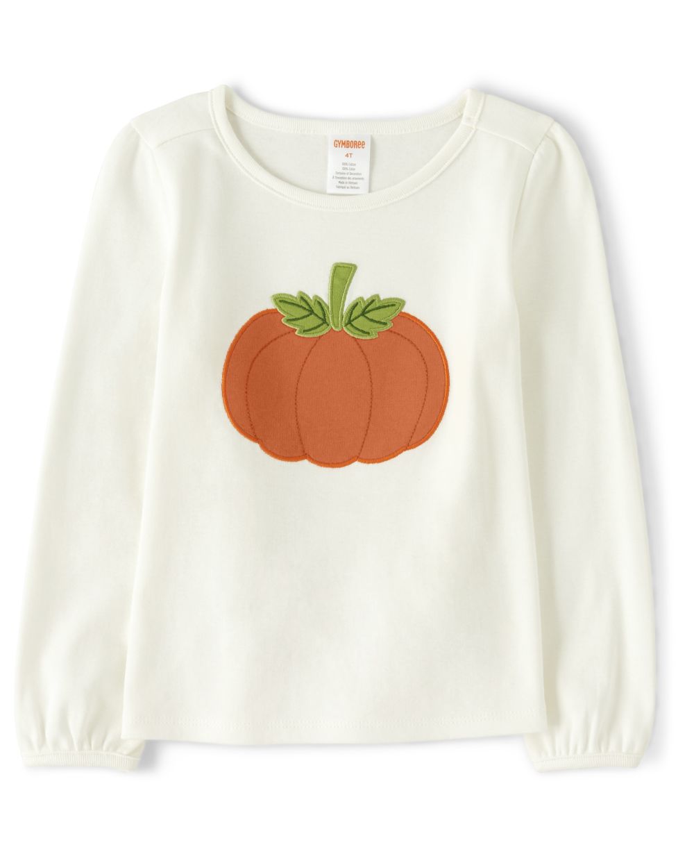matching sibling fall outfits, white long sleeve shirt with a pumpkin