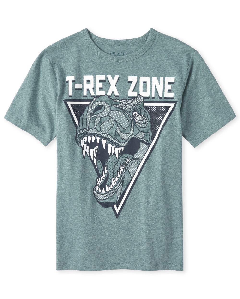 Boys Short Sleeve 'T Rex Zone' Dino Graphic Tee