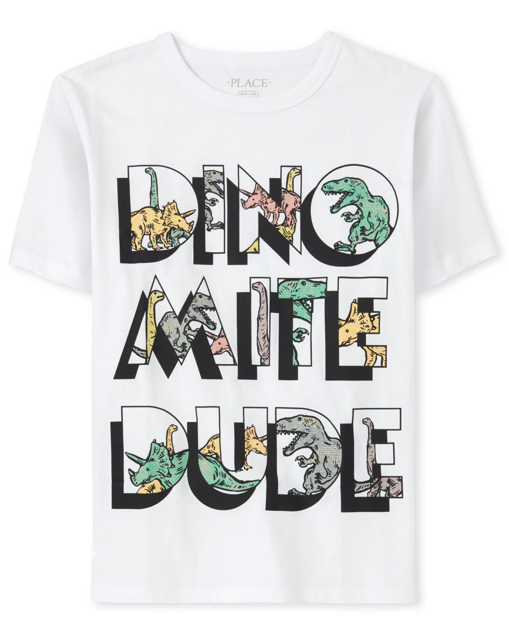 Boys Short Sleeve 'Dino Mite Dude' Matching Graphic Tee
