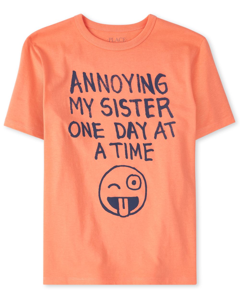 Boys Short Sleeve 'Annoying My Sister One Day At A Time' Graphic Tee