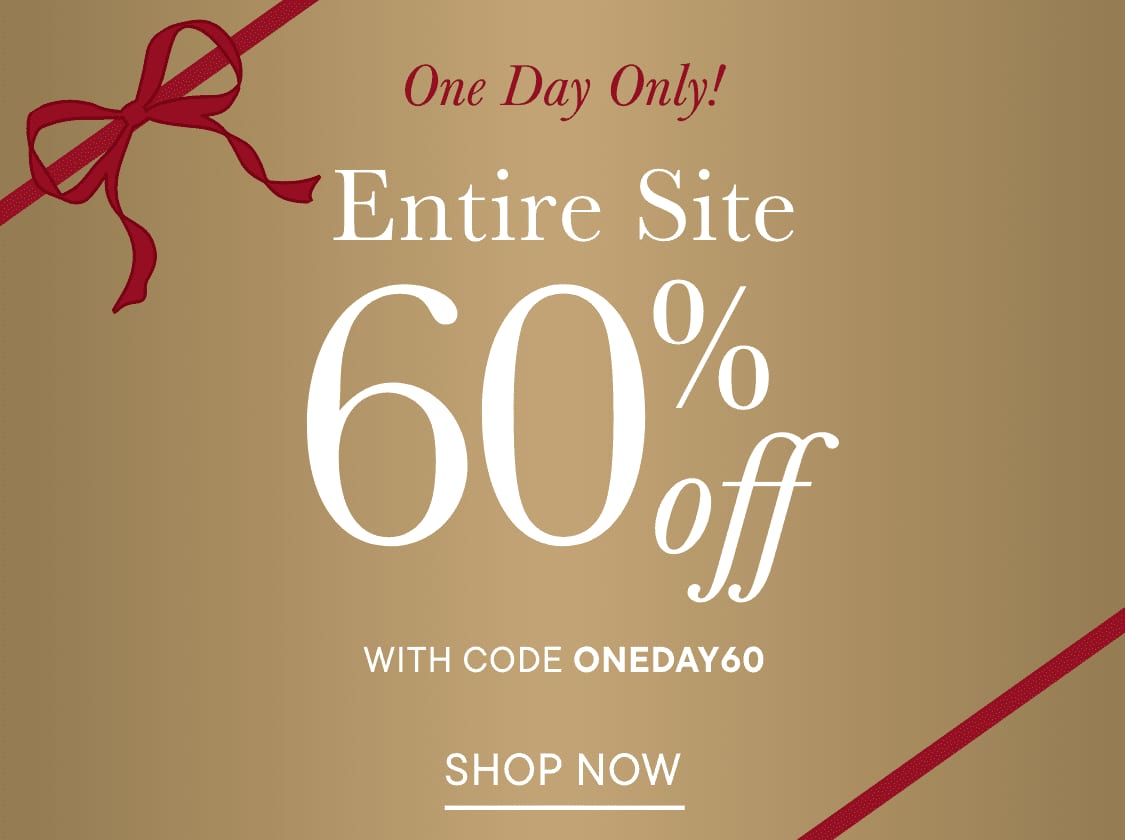 The image displays a promotional advertisement for a one-day-only sale, offering a 60% discount on the entire site with the use of the code "ONEDAY60".