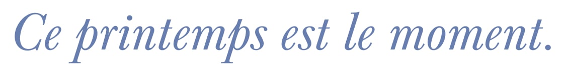 L'image affiche le mot « Sections » en caractères gras bleu marine sur un fond blanc uni.