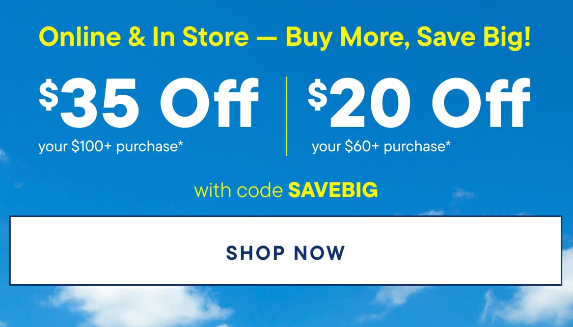 The image displays a promotional advertisement for a store, featuring a discount offer of $20 off a purchase of $100 or more, with the code "SAVEBIG" to be used.